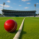 Durable & Long-Lasting Cricket Boundary Rope for Every Field