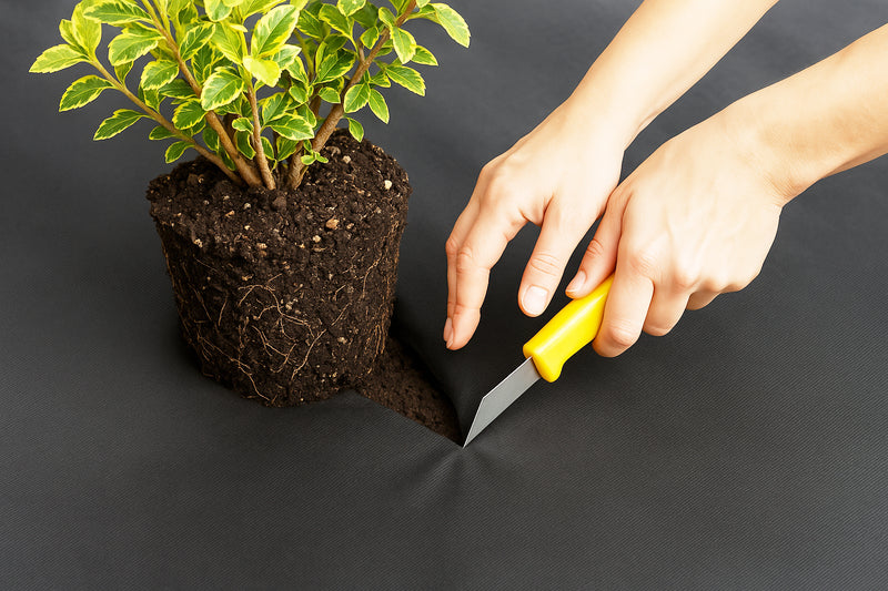 Weed Free Landscaping The Ultimate Solution Premium Mulchtex Weed Mat