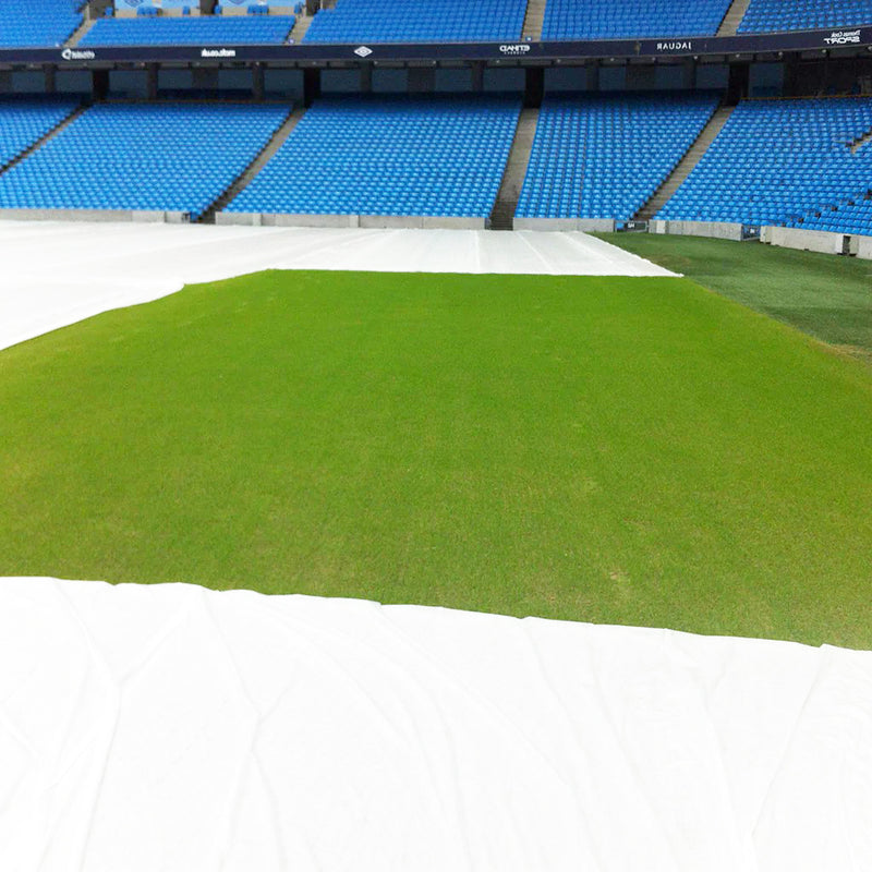 Germination Sheets Professional-Grade for Fast & Healthy Growth